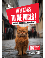 AFFICHE #1_SNI_A3_compressed