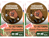 Flyer joutes gastr 25